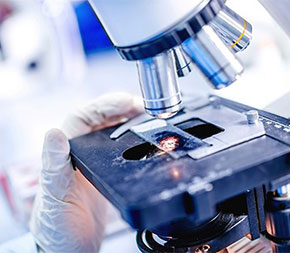 looking at lab slides under high tech