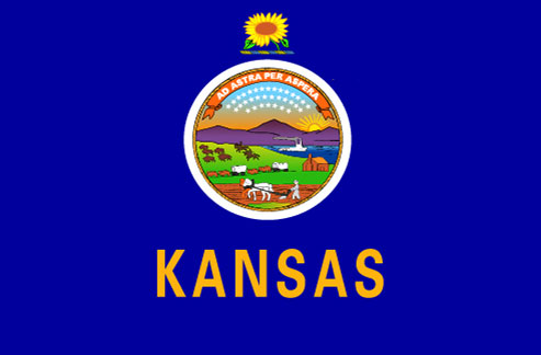kansas state flag