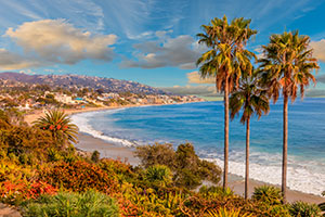 california shoreline with palm trees