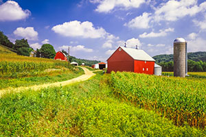 wisconsin field with red barn
